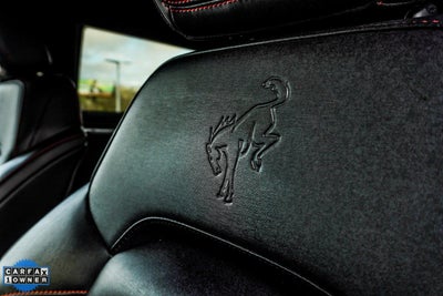 2025 Ford Bronco Stroppe Edition