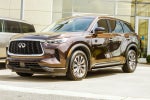 2022 INFINITI QX60 PURE