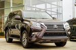 2019 Lexus GX 460 Luxury