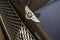 2020 Bentley Continental GT W12