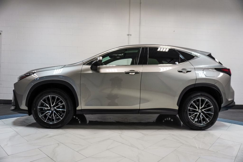 2024 Lexus NX 250 Base