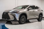 2024 Lexus NX 250 Premium