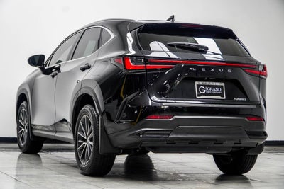 2025 Lexus NX 250 Base