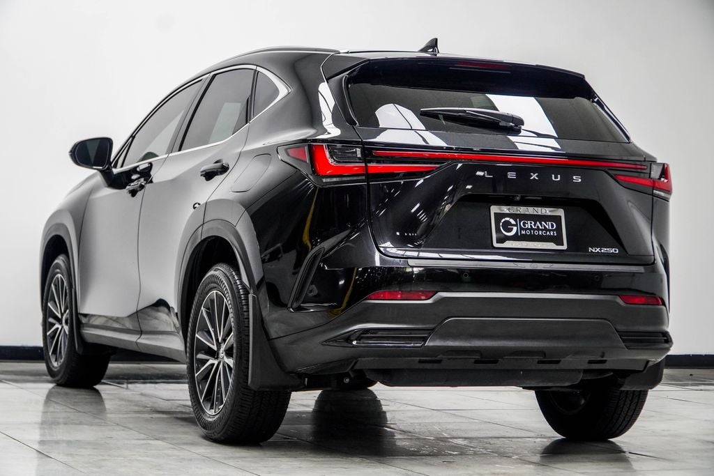 2025 Lexus NX 250 Base