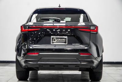 2025 Lexus NX 250 Base