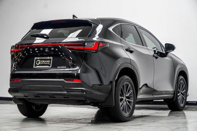 2025 Lexus NX 250 Base