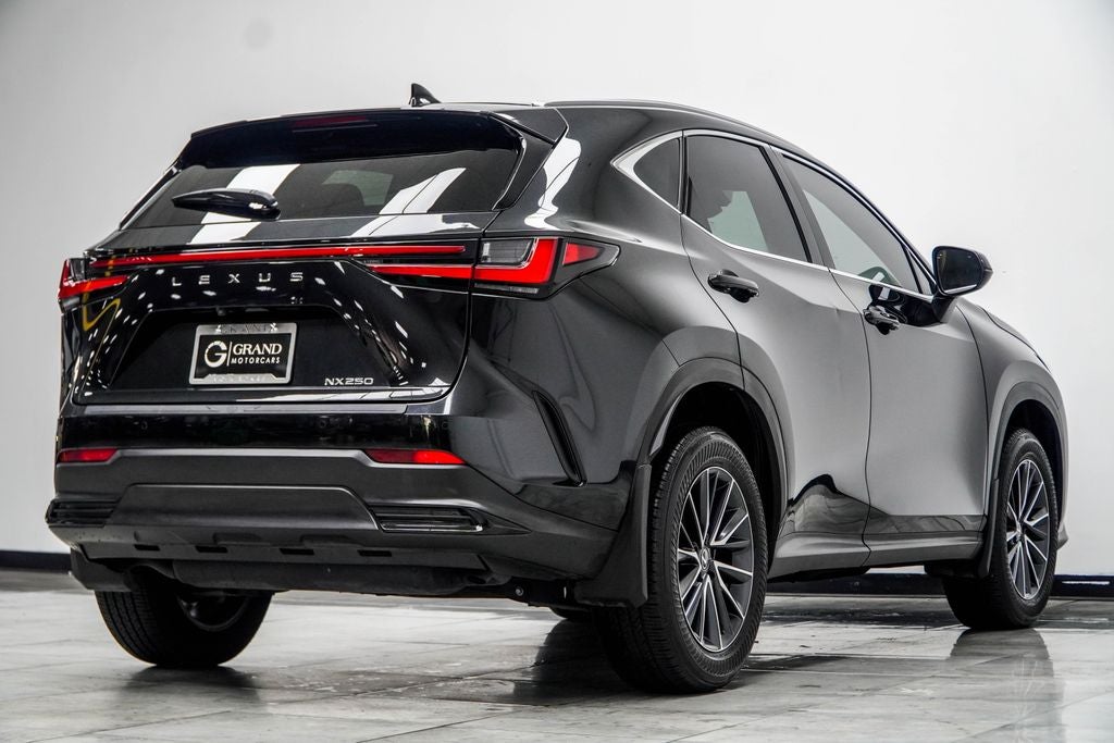 2025 Lexus NX 250 Base