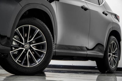 2025 Lexus NX 250 Base