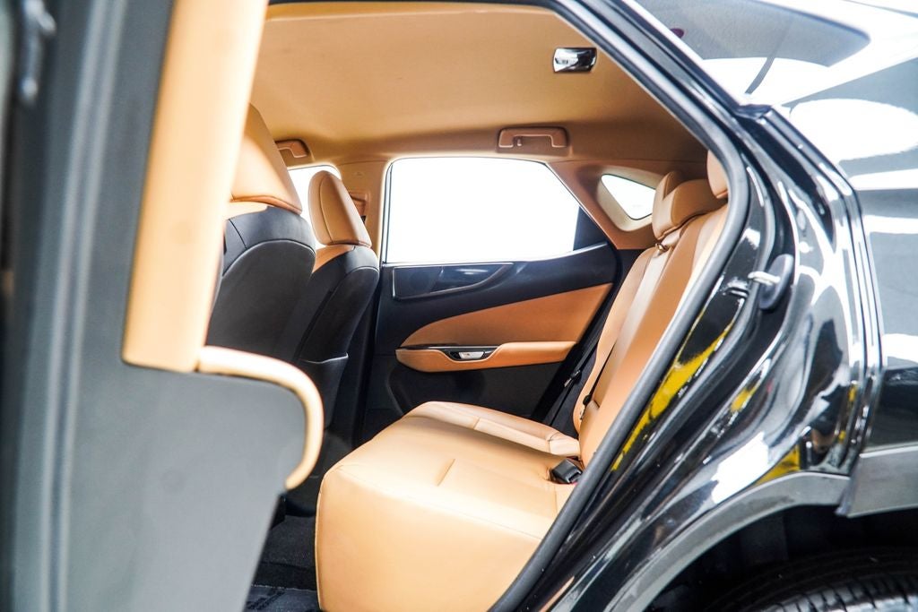 2025 Lexus NX 250 Base