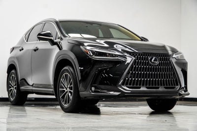 2025 Lexus NX 250 Base