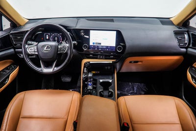 2025 Lexus NX 250 Base