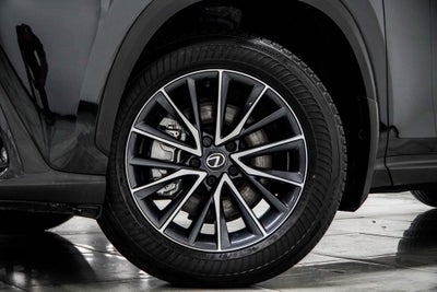 2025 Lexus NX 250 Base