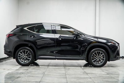 2025 Lexus NX 250 Base