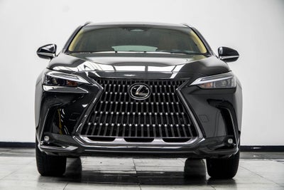 2025 Lexus NX 250 Base