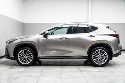 2025 Lexus NX 350h Premium