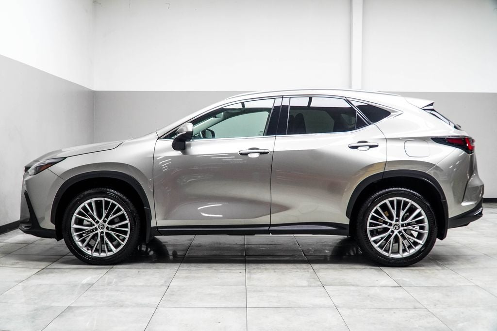 2025 Lexus NX 350h Premium