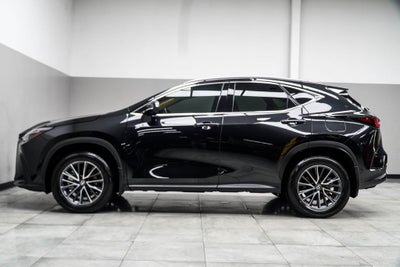 2025 Lexus NX 350h Luxury