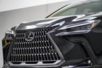 2025 Lexus NX 350h Luxury