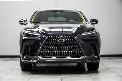 2025 Lexus NX 350h Luxury
