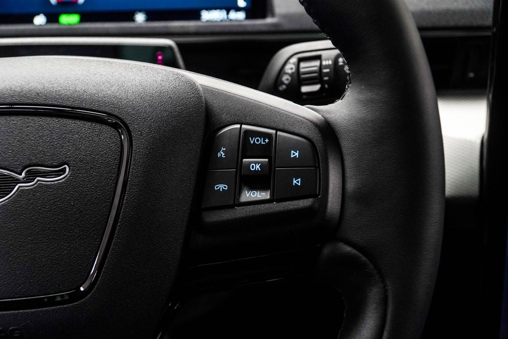 2023 Ford Mustang Mach-E California Route 1