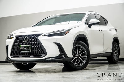 2024 Lexus NX 350h Luxury