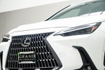 2024 Lexus NX 350h Luxury