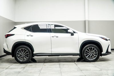 2024 Lexus NX 350h Luxury