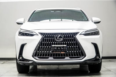 2024 Lexus NX 350h Luxury