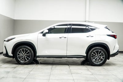 2024 Lexus NX 350h Luxury