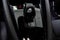 2024 Polestar 2 Long Range Dual Motor