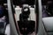 2024 Polestar 2 Long Range Dual Motor