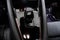 2023 Polestar 2 Long Range Dual Motor Performance Plus