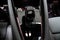 2024 Polestar 2 Long Range Dual Motor