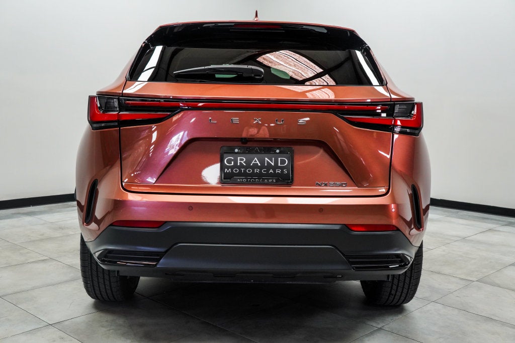 2025 Lexus NX 250 Base