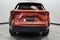 2025 Lexus NX 250 Base