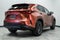 2025 Lexus NX 250 Base
