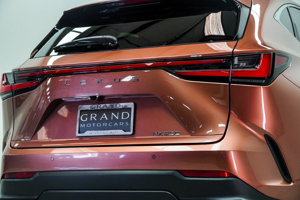 2025 Lexus NX 250 Base