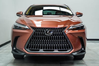 2025 Lexus NX 250 Base