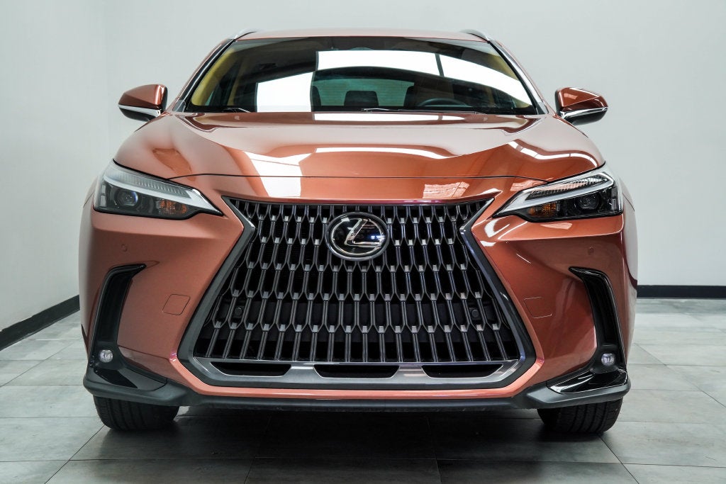 2025 Lexus NX 250 Base