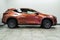 2025 Lexus NX 250 Base