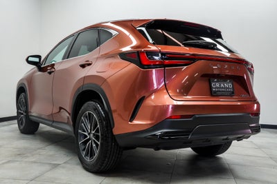 2025 Lexus NX 250 Base