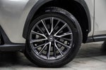 2023 Lexus NX 350 Base