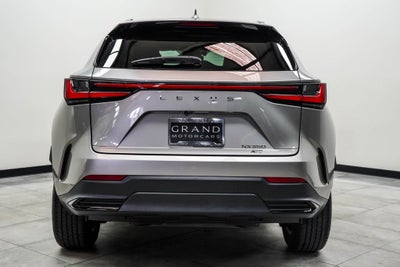 2023 Lexus NX 350 Base