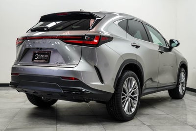 2023 Lexus NX 350 Luxury