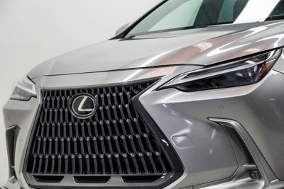 2023 Lexus NX 350 Luxury