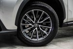 2024 Lexus NX 350h Premium