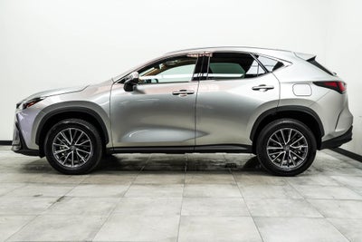 2024 Lexus NX 350h Premium