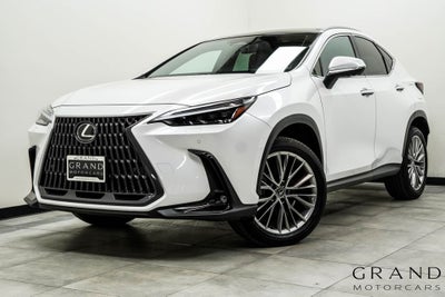 2024 Lexus NX 350 Luxury