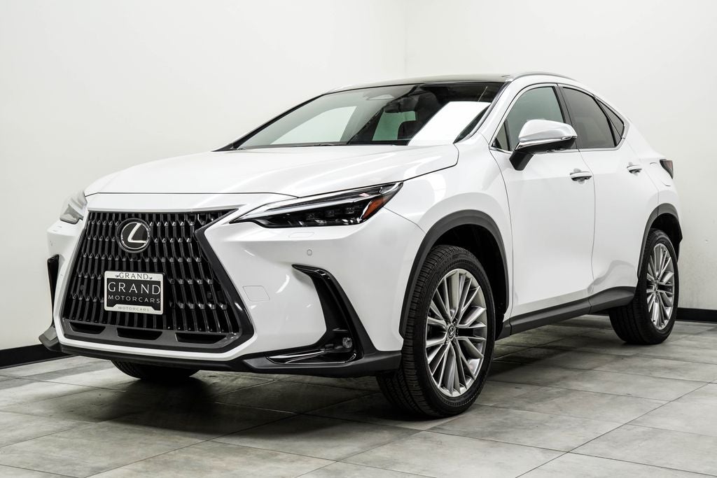 2024 Lexus NX 350 Luxury